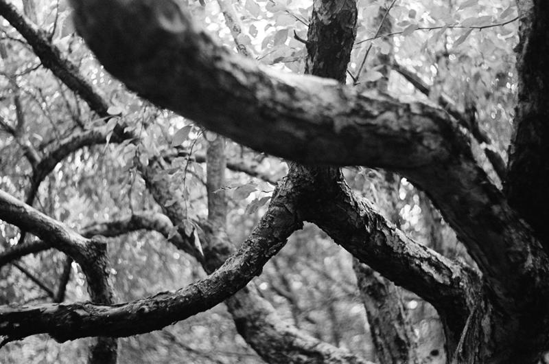 writhe by icouldbeahero on DeviantArt