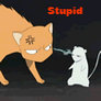 Stupid ____