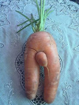 Male Carrot