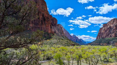 Zion Utah10