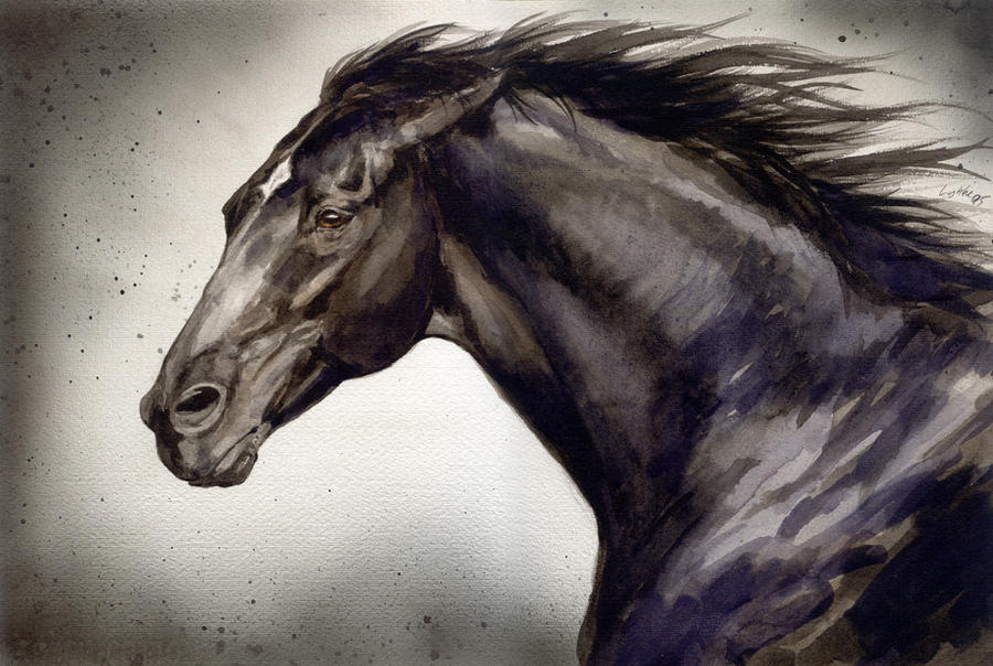 black horse