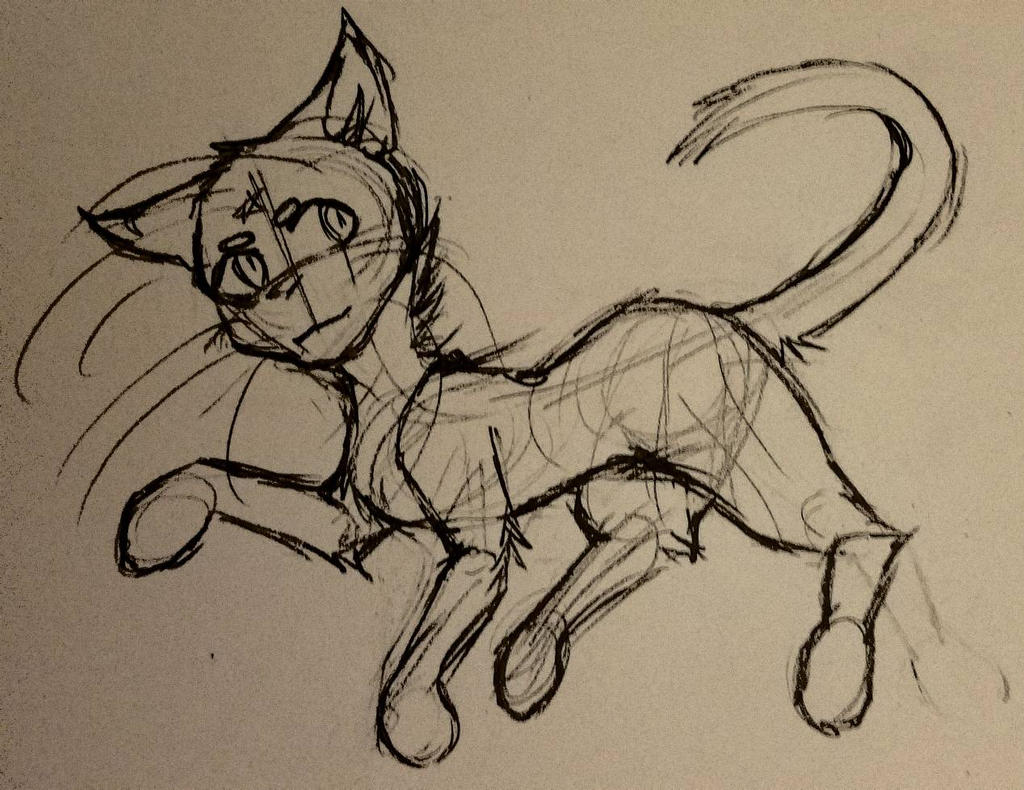 I Love Warrior Cats By Rivercat1 On Deviantart I Love Warrior Cats By Rivercat1 On Deviantart