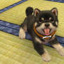 Nintendogs: Mira