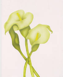 Airbrush calla flower