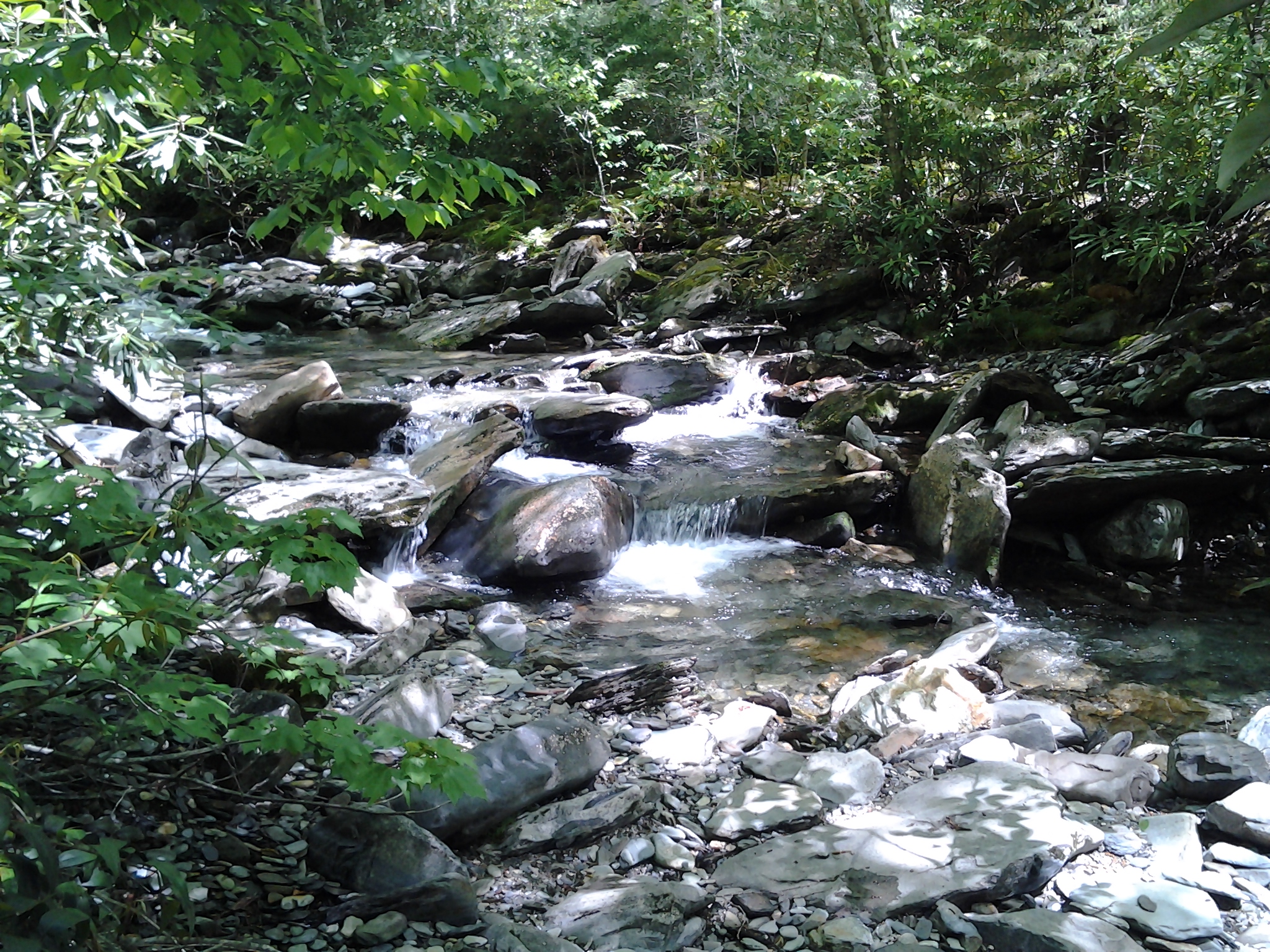 Mountain Stream #3