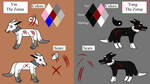 Ref. Sheet- Yin and Yang the Zoruas