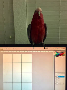 My Assistant