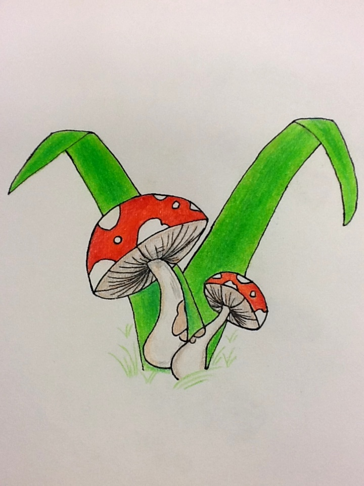 Mushrooms