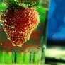 Strawberry In A Glass