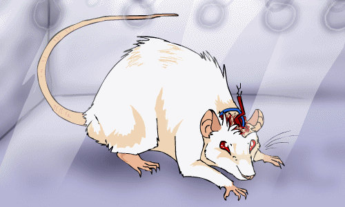 Lab Rat Deviantart lab rat by mechanicalmasochist on DeviantArt
