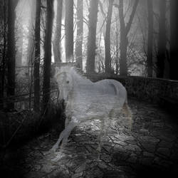 Ghost Horse