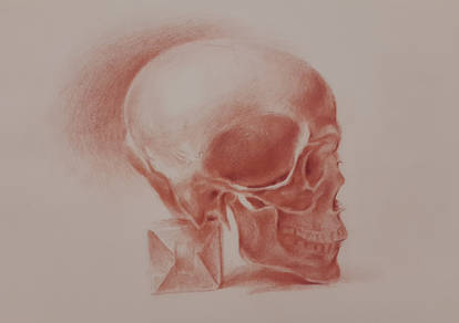 Skull