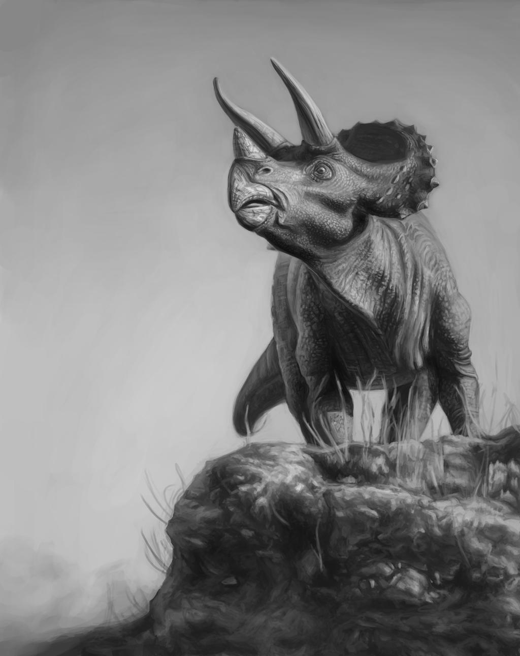 Triceratops digital grayscale study by Andreiuska on DeviantArt