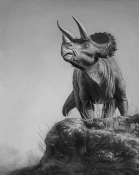 Triceratops digital grayscale study