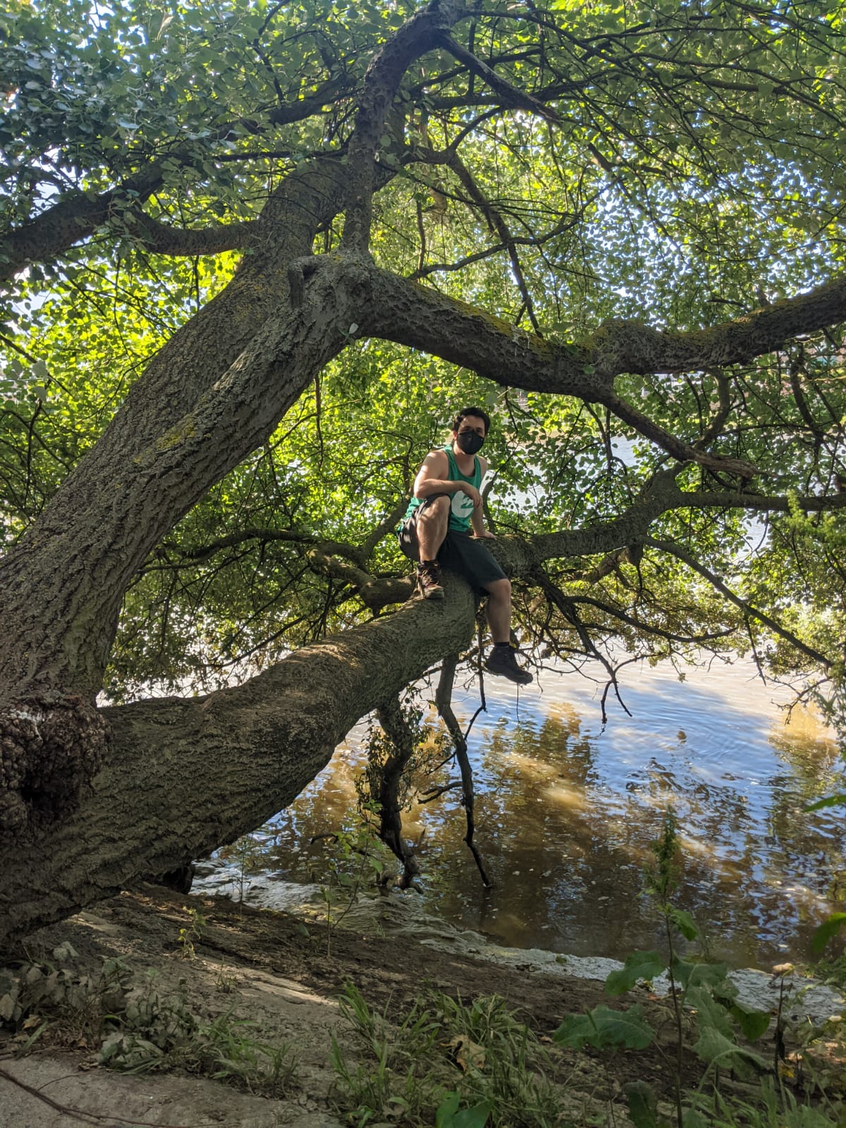 The Tree and The River and The Guy