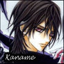 Vampire Knight