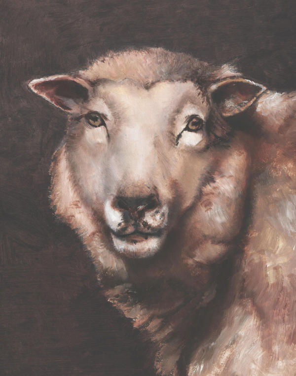 Deviantart 2007 Sheep sheep by TungstenVirago on DeviantArt