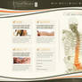 Chiropractor's website design