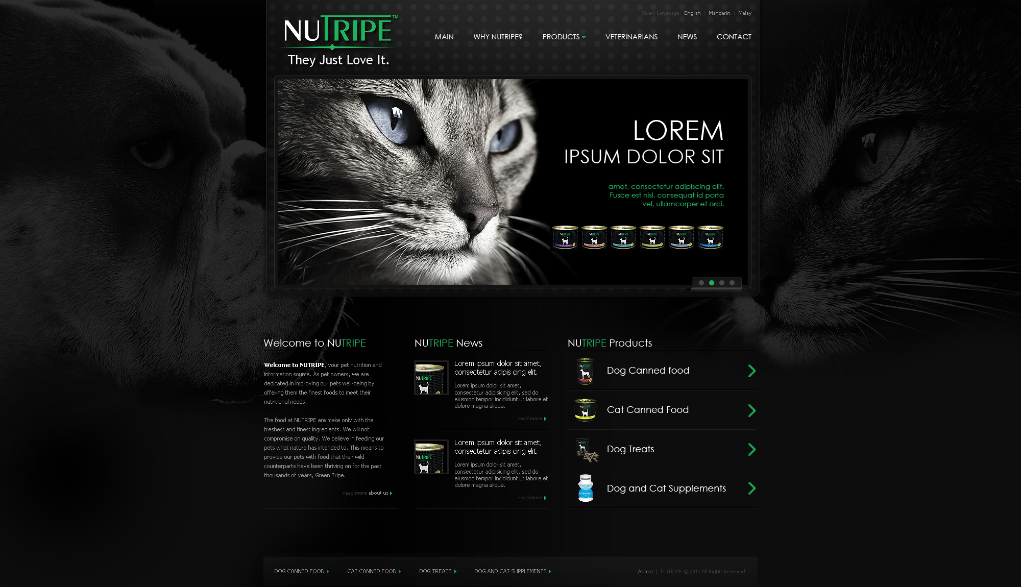 Web Design - Nutripe
