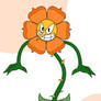 Cagney Carnation