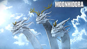 Moonhidora Stats 2026
