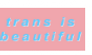 Trans are beautiful