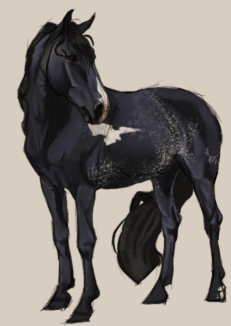Raven Ras RAs Raven by Rowan-trees3 on DeviantArt
