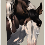 Rayxray Headshot Comm