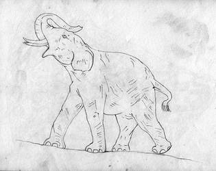 Elephant