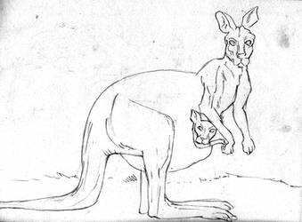 Kangaroo with her Child