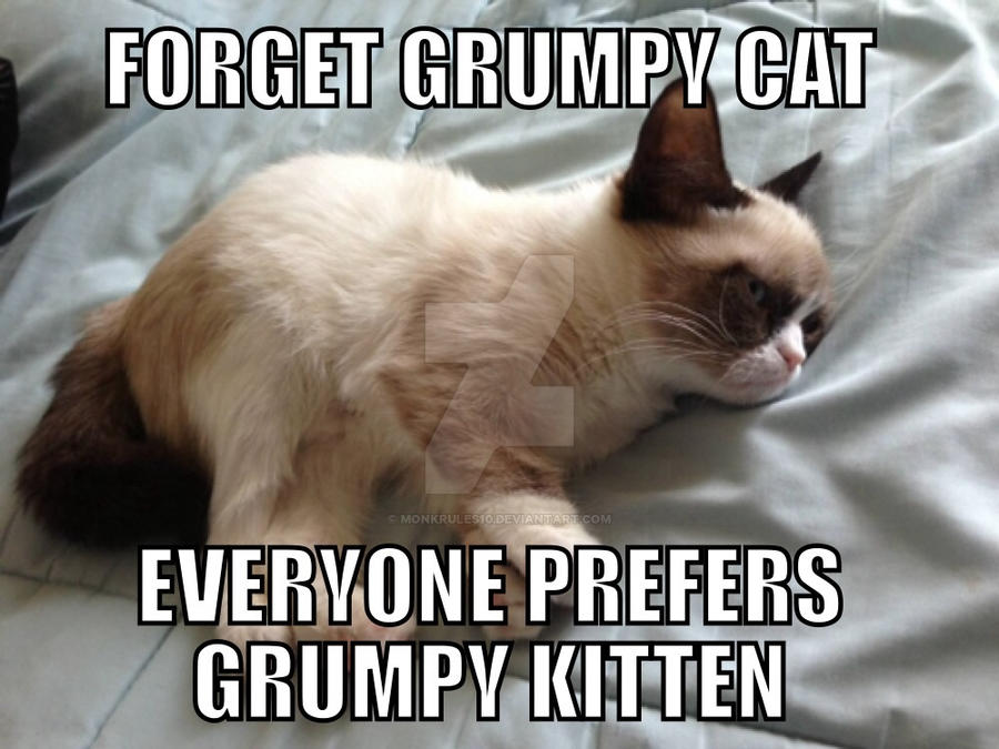 Gumpy Kitten Grumpy Kitten by Monkrules10 on DeviantArt