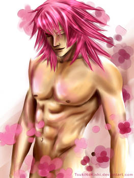 Pink Passion Marluxia