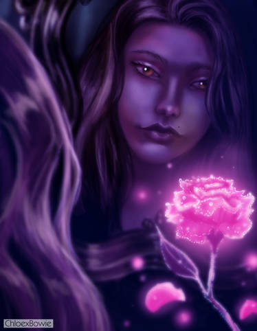 Enchanted Rose