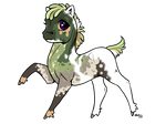Fennel Colt - For Sale by DanceswithDaemons