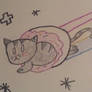 flying donut cat!