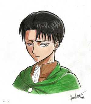 Captain Levi Ackerman