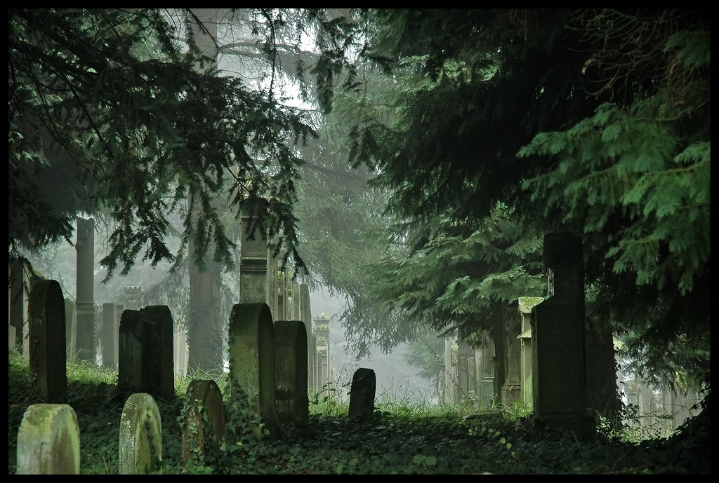 Hidden graveyard