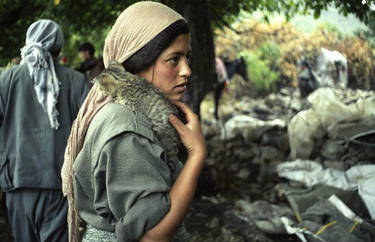 pkk guerilla