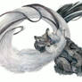 Infinity foxes