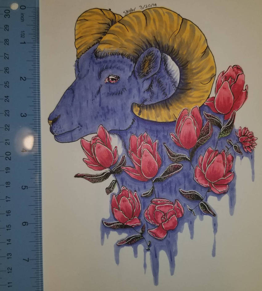 Rams n Roses by SkyLiarLee on DeviantArt