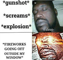 4th of July Sleeping Shaq Meme 