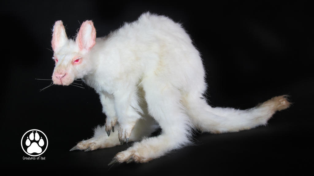 Achromia the albino kangaroo poseable art doll! by CreaturesofNat on ...