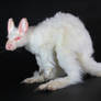 SOLD Achromia the albino kangaroo art doll!