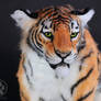 Orange Tiger Artdoll