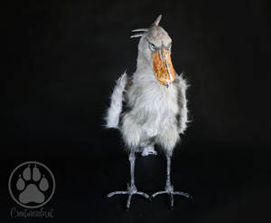 Shoebill Artdoll