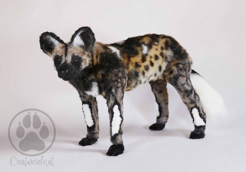 African Wild Dog poseable artdoll