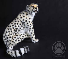 Cheetah poseable artdoll