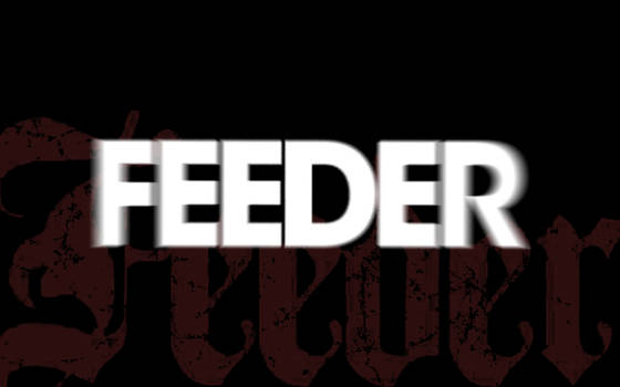 Feeder