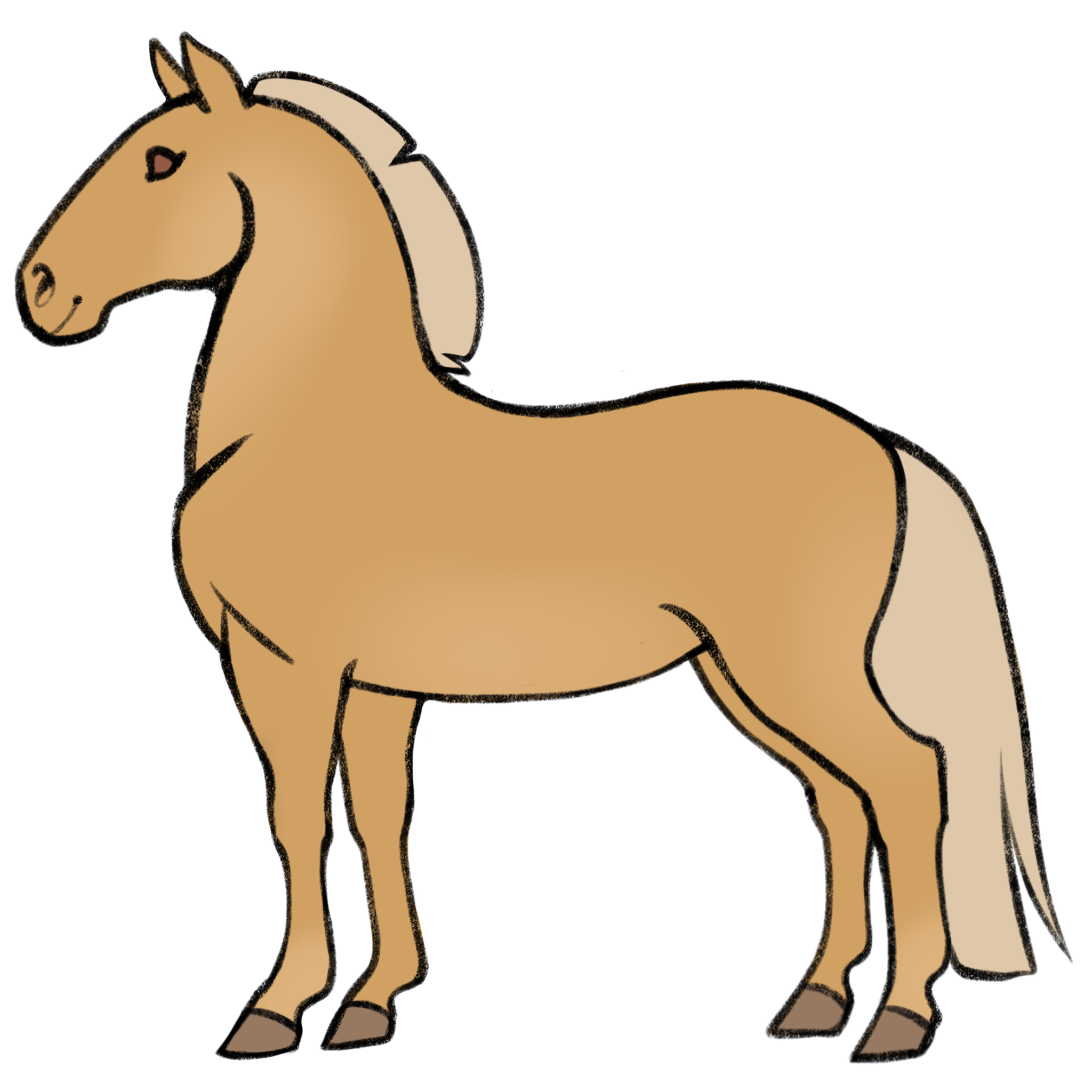 palomino
