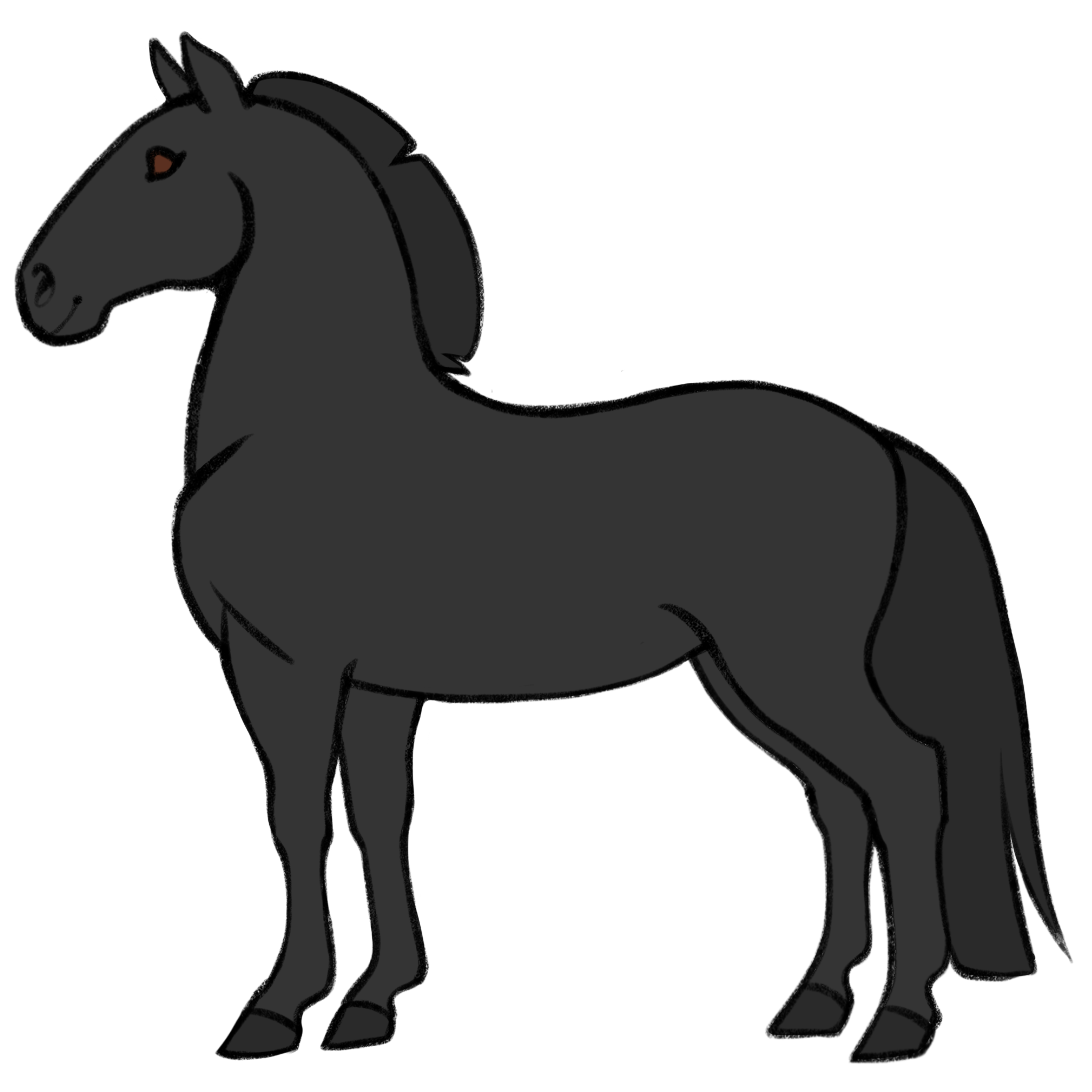 black horse